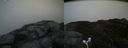 ./images/calvert/buxton2/20170530/buxton220170530_131426M.jpg