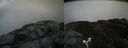 ./images/calvert/buxton2/20170530/buxton220170530_132411M.jpg