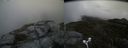 ./images/calvert/buxton2/20170530/buxton220170530_134411M.jpg