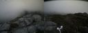 ./images/calvert/buxton2/20170530/buxton220170530_142418M.jpg