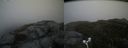 ./images/calvert/buxton2/20170530/buxton220170530_150910M.jpg