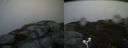 ./images/calvert/buxton2/20170530/buxton220170530_175941M.jpg