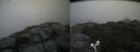 ./images/calvert/buxton2/20170530/buxton220170530_184412M.jpg