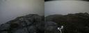 ./images/calvert/buxton2/20170530/buxton220170530_193414M.jpg