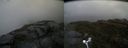 ./images/calvert/buxton2/20170531/buxton220170531_183515M.jpg