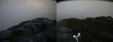 ./images/calvert/buxton2/20170531/buxton220170531_203023M.jpg