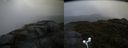 ./images/calvert/buxton2/20170602/buxton220170602_062055M.jpg