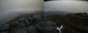 ./images/calvert/buxton2/20170602/buxton220170602_081056M.jpg