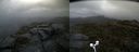 ./images/calvert/buxton2/20170602/buxton220170602_092557M.jpg