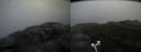 ./images/calvert/buxton2/20170602/buxton220170602_103554M.jpg