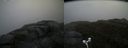 ./images/calvert/buxton2/20170602/buxton220170602_121057M.jpg