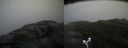./images/calvert/buxton2/20170602/buxton220170602_133553M.jpg