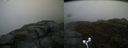 ./images/calvert/buxton2/20170602/buxton220170602_152055M.jpg