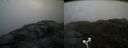 ./images/calvert/buxton2/20170602/buxton220170602_152556M.jpg