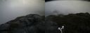 ./images/calvert/buxton2/20170602/buxton220170602_153554M.jpg