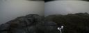./images/calvert/buxton2/20170602/buxton220170602_154555M.jpg
