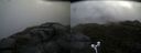 ./images/calvert/buxton2/20170602/buxton220170602_155055M.jpg