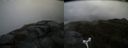 ./images/calvert/buxton2/20170602/buxton220170602_161554M.jpg