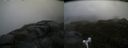 ./images/calvert/buxton2/20170602/buxton220170602_162055M.jpg
