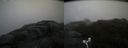 ./images/calvert/buxton2/20170602/buxton220170602_163554M.jpg