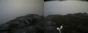 ./images/calvert/buxton2/20170602/buxton220170602_175556M.jpg