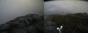 ./images/calvert/buxton2/20170602/buxton220170602_180554M.jpg