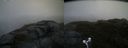 ./images/calvert/buxton2/20170603/buxton220170603_072619M.jpg