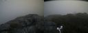 ./images/calvert/buxton2/20170603/buxton220170603_090118M.jpg