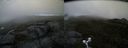 ./images/calvert/buxton2/20170604/buxton220170604_194643M.jpg
