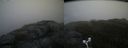 ./images/calvert/buxton2/20170604/buxton220170604_195644M.jpg