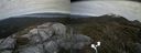 ./images/calvert/buxton2/20170606/buxton220170606_165230M.jpg