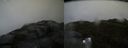 ./images/calvert/buxton2/20170608/buxton220170608_102320M.jpg