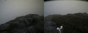./images/calvert/buxton2/20170608/buxton220170608_113818M.jpg