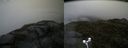 ./images/calvert/buxton2/20170608/buxton220170608_115819M.jpg