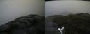 ./images/calvert/buxton2/20170608/buxton220170608_120321M.jpg