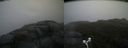 ./images/calvert/buxton2/20170608/buxton220170608_151817M.jpg