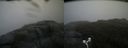 ./images/calvert/buxton2/20170608/buxton220170608_152819M.jpg
