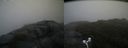 ./images/calvert/buxton2/20170608/buxton220170608_155322M.jpg