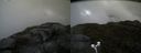 ./images/calvert/buxton2/20170609/buxton220170609_123344M.jpg