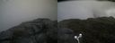 ./images/calvert/buxton2/20170609/buxton220170609_134343M.jpg
