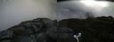 ./images/calvert/buxton2/20170609/buxton220170609_134846M.jpg