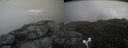 ./images/calvert/buxton2/20170609/buxton220170609_143844M.jpg