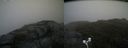./images/calvert/buxton2/20170609/buxton220170609_154345M.jpg