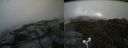 ./images/calvert/buxton2/20170610/buxton220170610_164408M.jpg