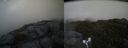 ./images/calvert/buxton2/20170610/buxton220170610_164910M.jpg