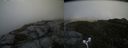 ./images/calvert/buxton2/20170610/buxton220170610_165410M.jpg