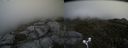 ./images/calvert/buxton2/20170610/buxton220170610_171409M.jpg