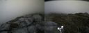 ./images/calvert/buxton2/20170610/buxton220170610_172907M.jpg