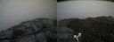 ./images/calvert/buxton2/20170610/buxton220170610_180408M.jpg