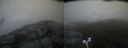 ./images/calvert/buxton2/20170611/buxton220170611_055431M.jpg